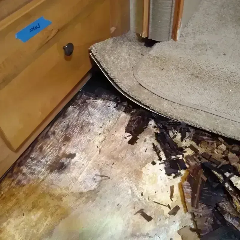 Best Wood Floor Water Damage Service in Emanuel County, GA